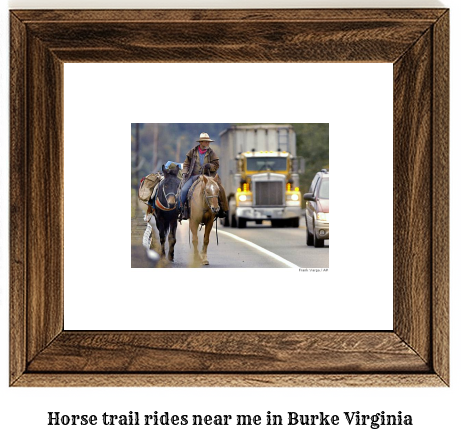 horse trail rides near me in Burke, Virginia